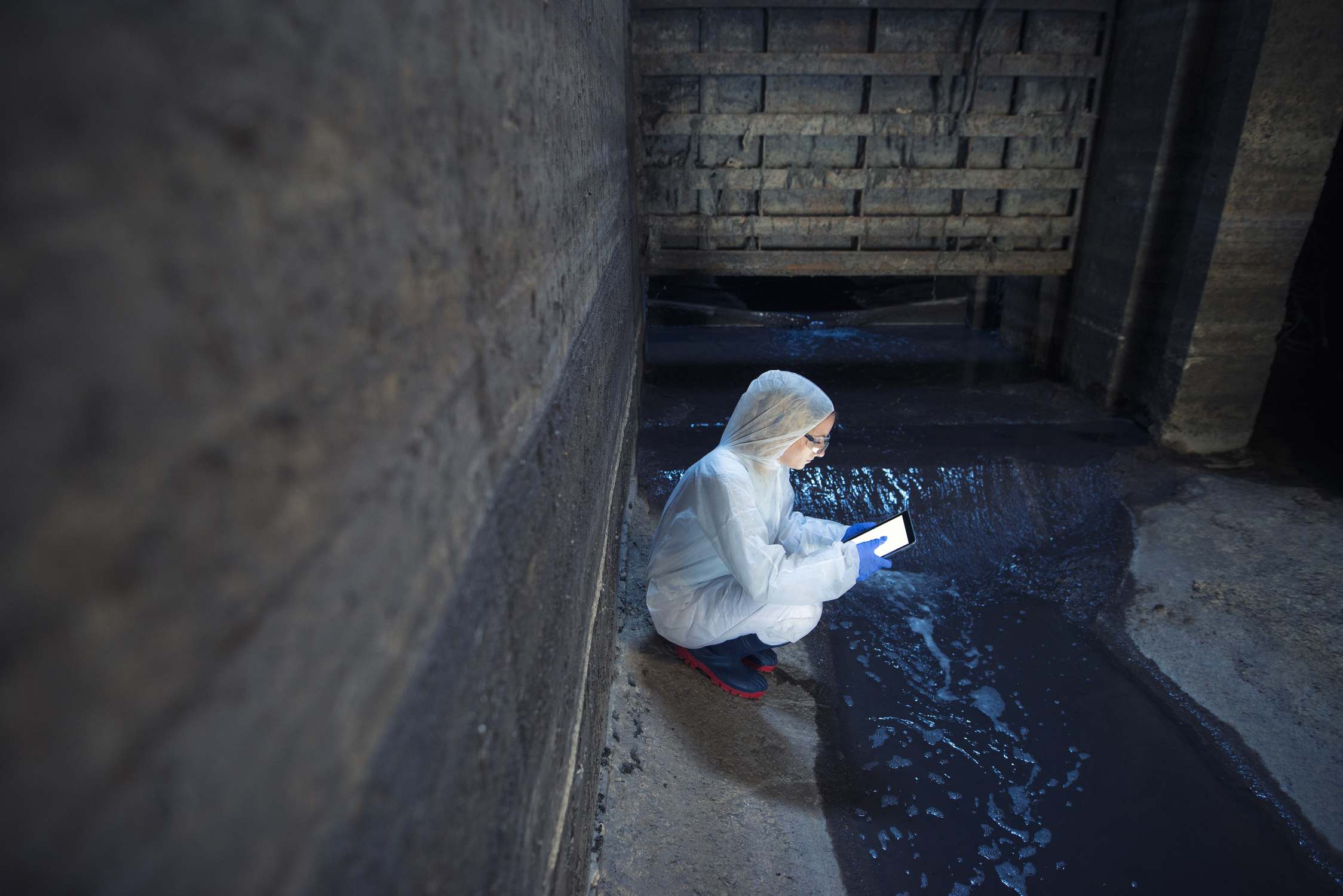 Water & Land Management